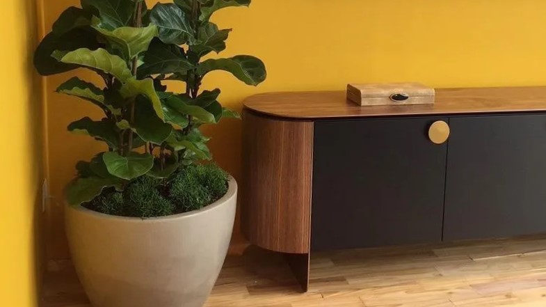 Móvel baixo de madeira com portas pretas e um vaso de planta ao lado, em um cômodo com parede amarela.