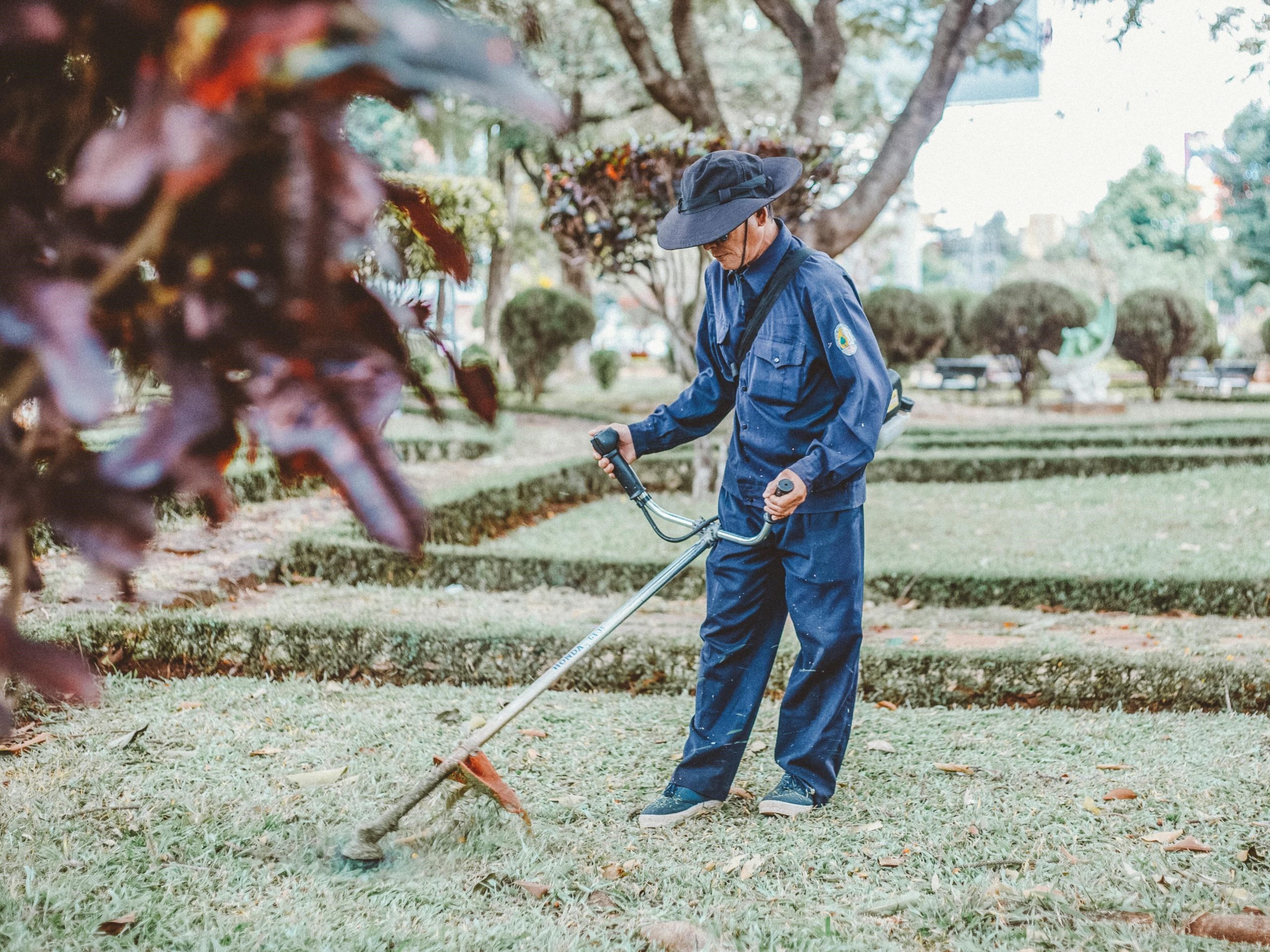 Pessoa cortando grama