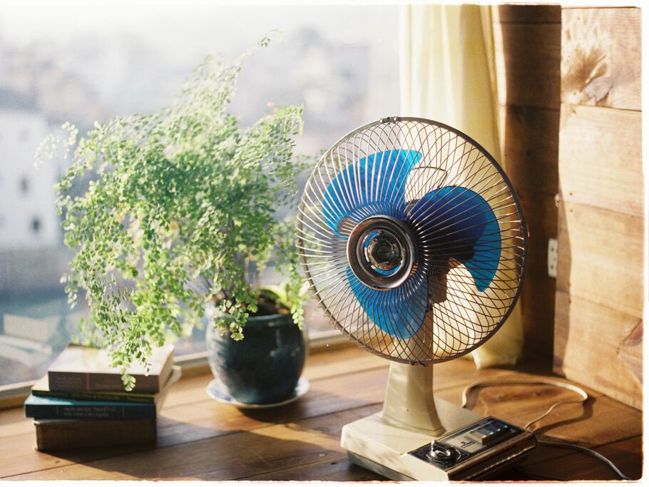 Ventilador ao lado de planta em ambiente aconchegante